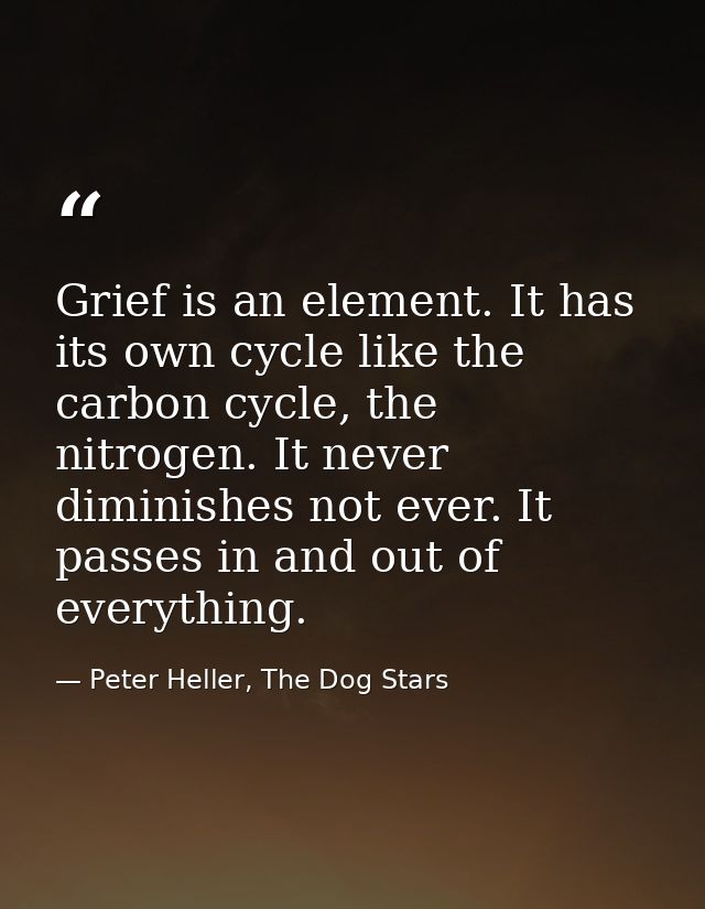 Grief is an element. It has its own cycle like the carbon cycle, the nitrogen. It never diminishes not ever. It passes i — Peter Heller, The Dog Stars