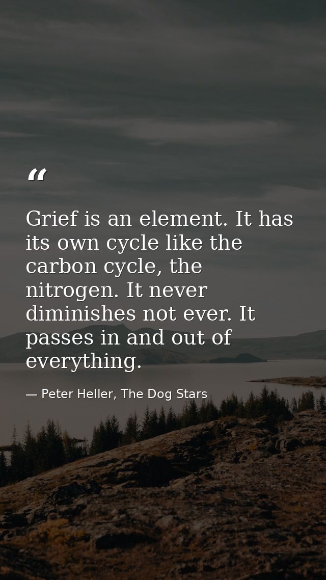 Grief is an element. It has its own cycle like the carbon cycle, the nitrogen. It never diminishes not ever. It passes i — Peter Heller, The Dog Stars