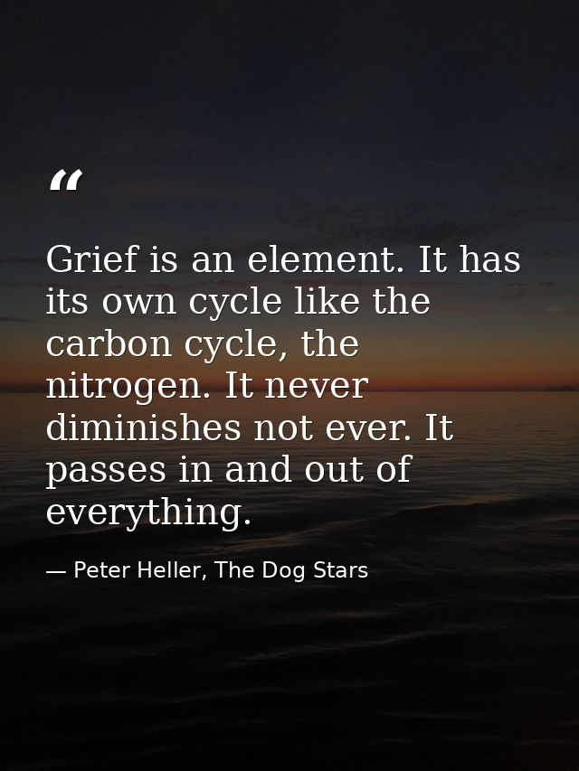 Grief is an element. It has its own cycle like the carbon cycle, the nitrogen. It never diminishes not ever. It passes i — Peter Heller, The Dog Stars
