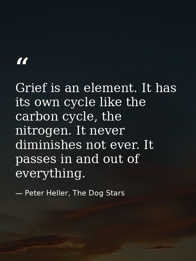 Grief is an element. It has its own cycle like the carbon cycle, the nitrogen. It never diminishes not ever. It passes i — Peter Heller, The Dog Stars