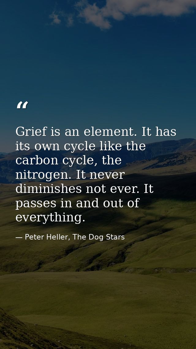Grief is an element. It has its own cycle like the carbon cycle, the nitrogen. It never diminishes not ever. It passes i — Peter Heller, The Dog Stars