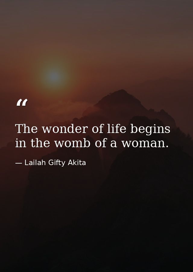 The wonder of life begins in the womb of a woman. — Lailah Gifty Akita