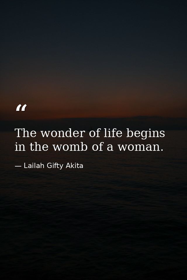 The wonder of life begins in the womb of a woman. — Lailah Gifty Akita