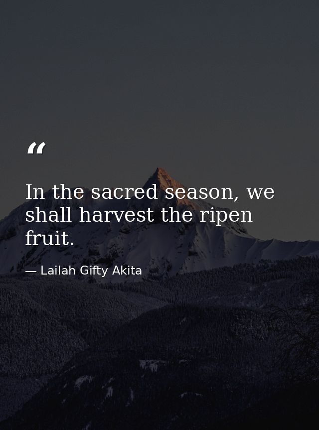 In the sacred season, we shall harvest the ripen fruit. — Lailah Gifty Akita