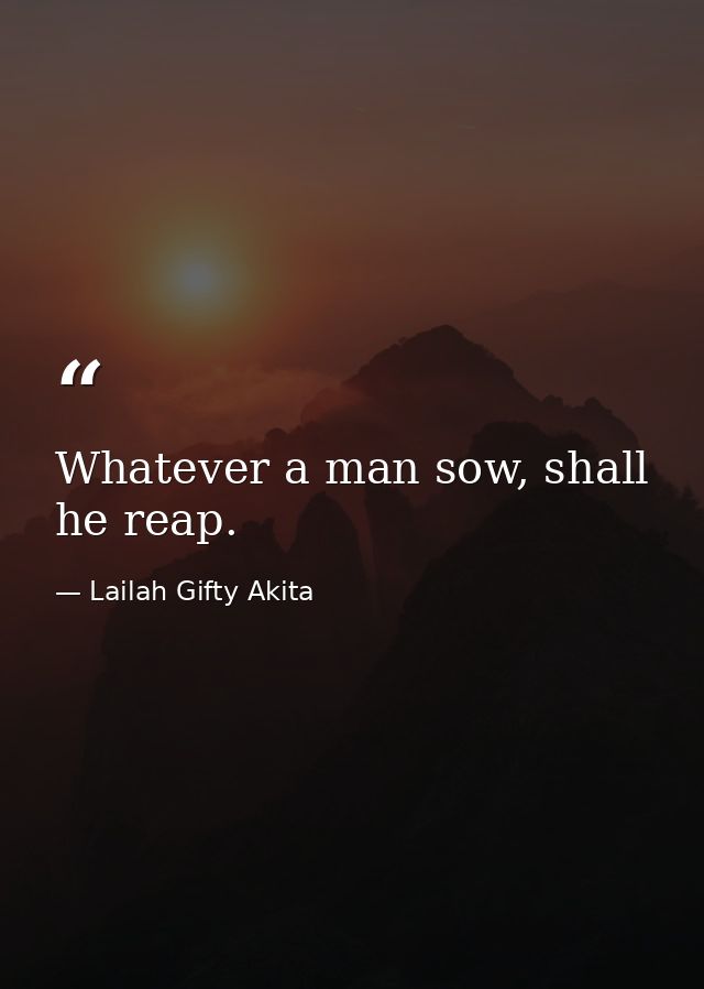 Whatever a man sow, shall he reap. — Lailah Gifty Akita