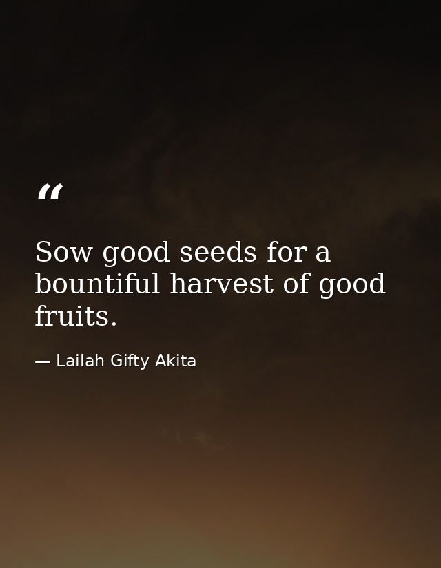 Sow good seeds for a bountiful harvest of good fruits. — Lailah Gifty Akita