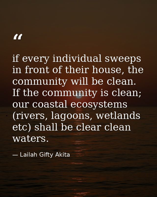 if every individual sweeps in front of their house, the community will be clean. If the community is clean; our coastal  — Lailah Gifty Akita