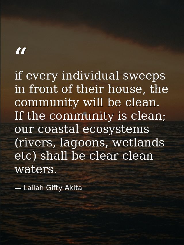 if every individual sweeps in front of their house, the community will be clean. If the community is clean; our coastal  — Lailah Gifty Akita