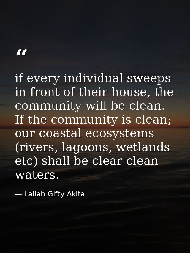 if every individual sweeps in front of their house, the community will be clean. If the community is clean; our coastal  — Lailah Gifty Akita