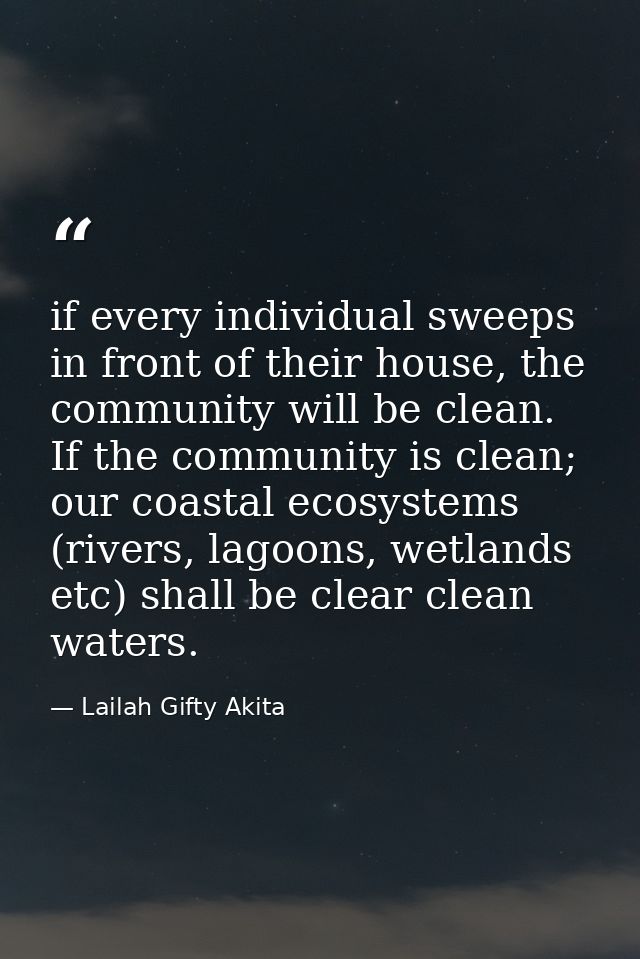 if every individual sweeps in front of their house, the community will be clean. If the community is clean; our coastal  — Lailah Gifty Akita