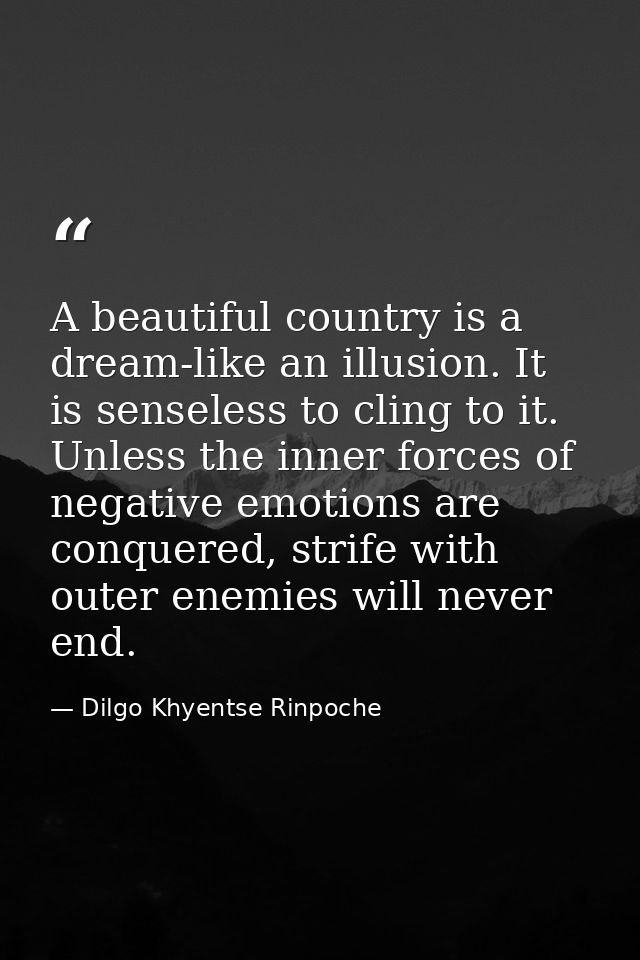 A beautiful country is a dream-like an illusion. It is senseless to cling to it. Unless the inner forces of negative emo — Dilgo Khyentse Rinpoche