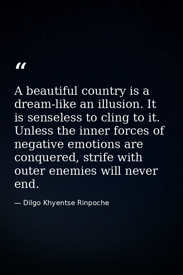 A beautiful country is a dream-like an illusion. It is senseless to cling to it. Unless the inner forces of negative emo — Dilgo Khyentse Rinpoche