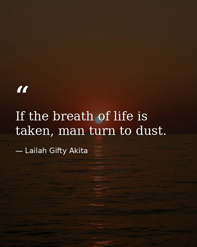 If the breath of life is taken, man turn to dust. — Lailah Gifty Akita
