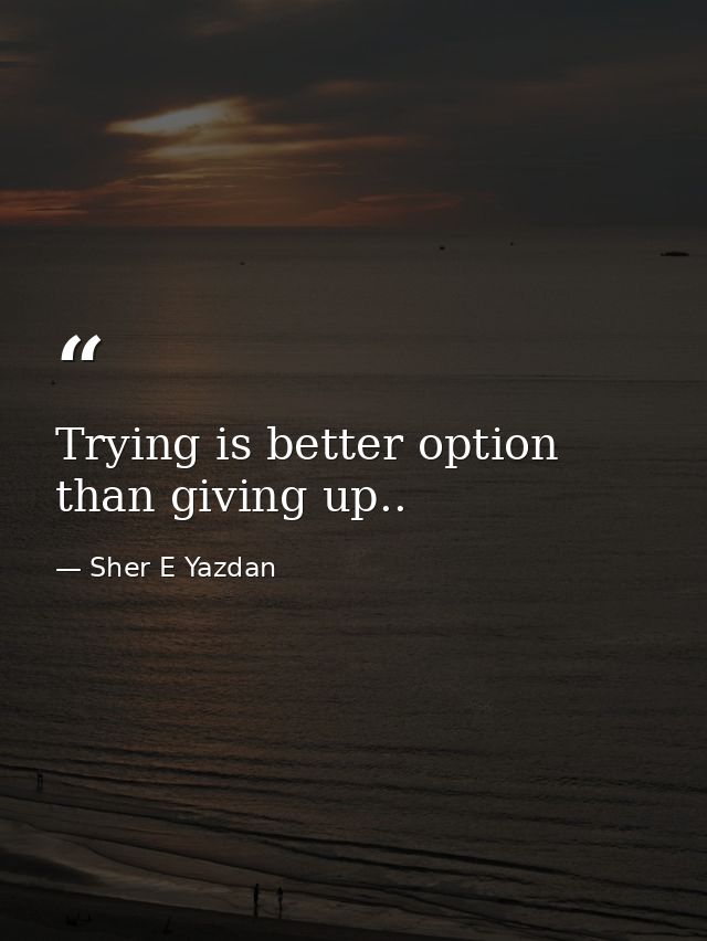 Trying is better option than giving up.. — Sher E Yazdan
