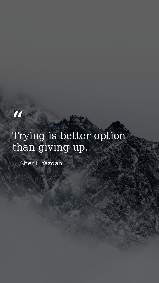 Trying is better option than giving up.. — Sher E Yazdan