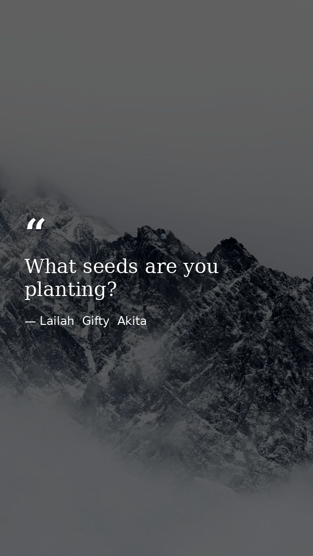 What seeds are you planting? — Lailah  Gifty  Akita