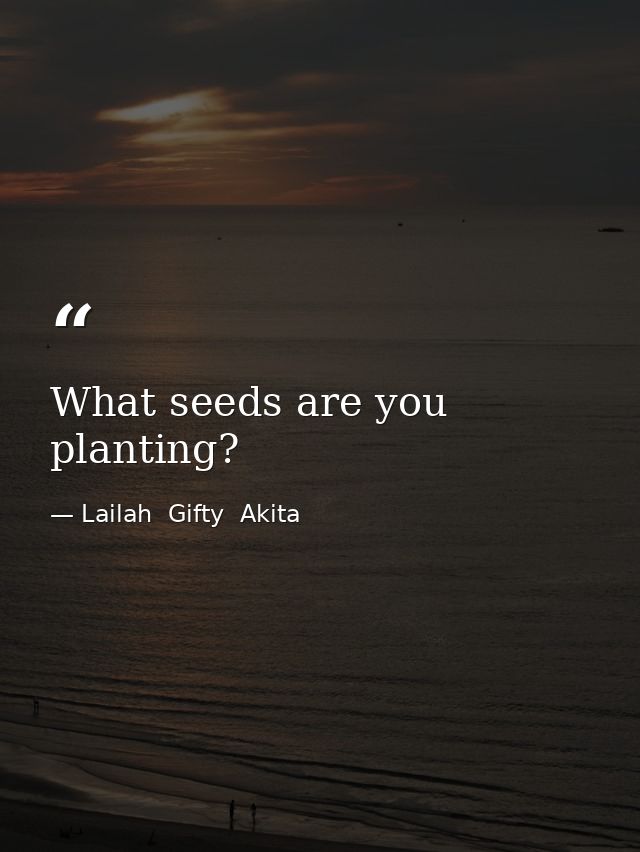 What seeds are you planting? — Lailah  Gifty  Akita