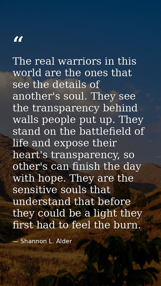 The real warriors in this world are the ones that see the details of another's soul. They see the transparency behind wa — Shannon L. Alder