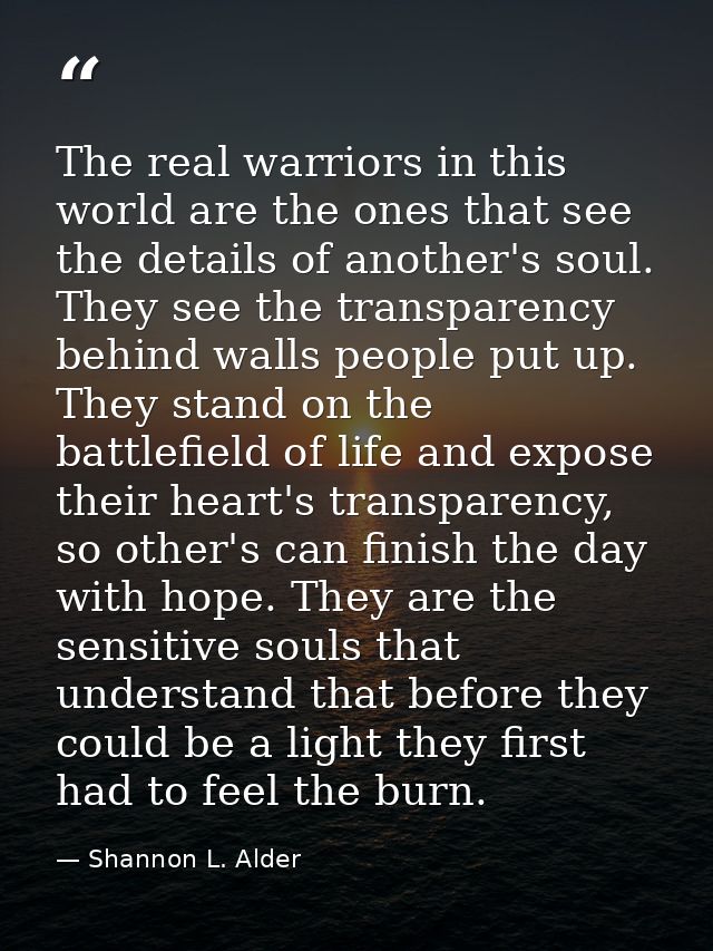 The real warriors in this world are the ones that see the details of another's soul. They see the transparency behind wa — Shannon L. Alder