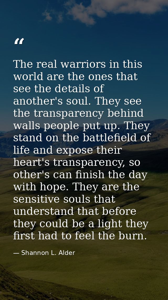 The real warriors in this world are the ones that see the details of another's soul. They see the transparency behind wa — Shannon L. Alder