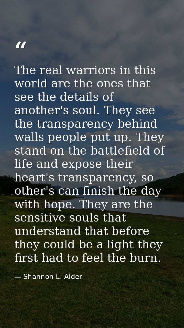 The real warriors in this world are the ones that see the details of another's soul. They see the transparency behind wa — Shannon L. Alder