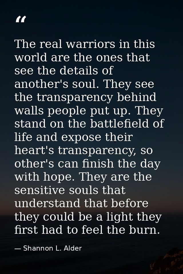 The real warriors in this world are the ones that see the details of another's soul. They see the transparency behind wa — Shannon L. Alder