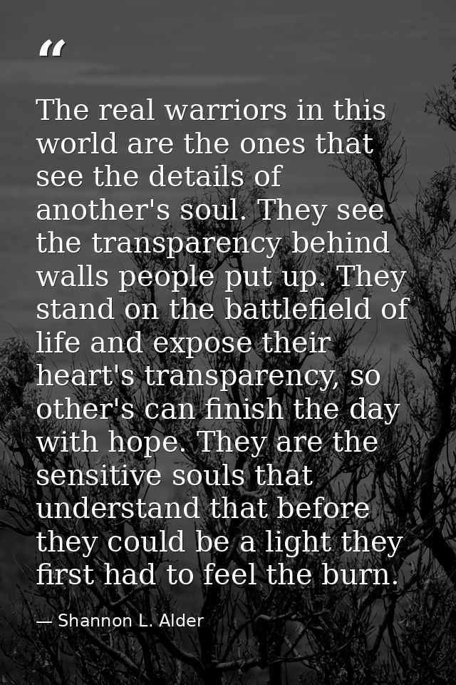 The real warriors in this world are the ones that see the details of another's soul. They see the transparency behind wa — Shannon L. Alder