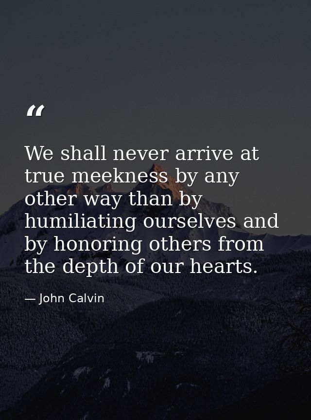 We shall never arrive at true meekness by any other way than by humiliating ourselves and by honoring others from the de — John Calvin