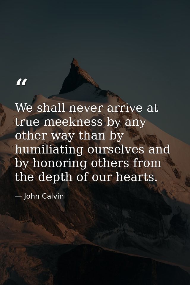 We shall never arrive at true meekness by any other way than by humiliating ourselves and by honoring others from the de — John Calvin
