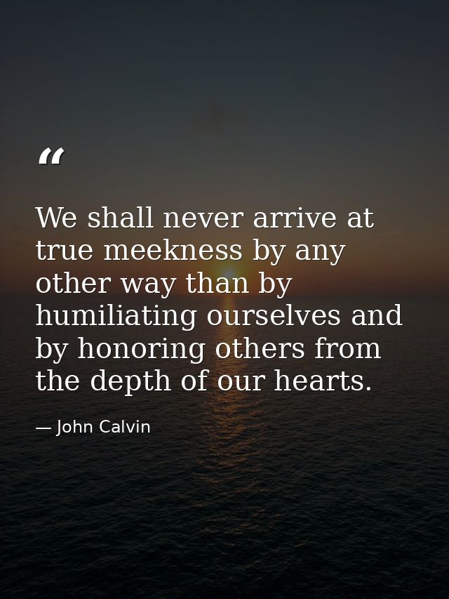 We shall never arrive at true meekness by any other way than by humiliating ourselves and by honoring others from the de — John Calvin