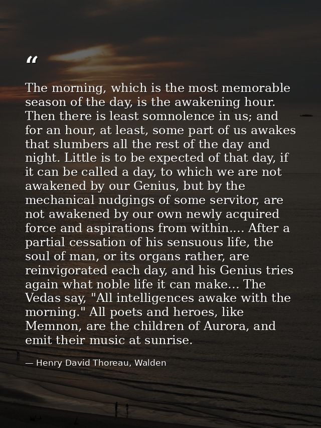 The morning, which is the most memorable season of the day, is the awakening hour. Then there is least somnolence in us; — Henry David Thoreau, Walden