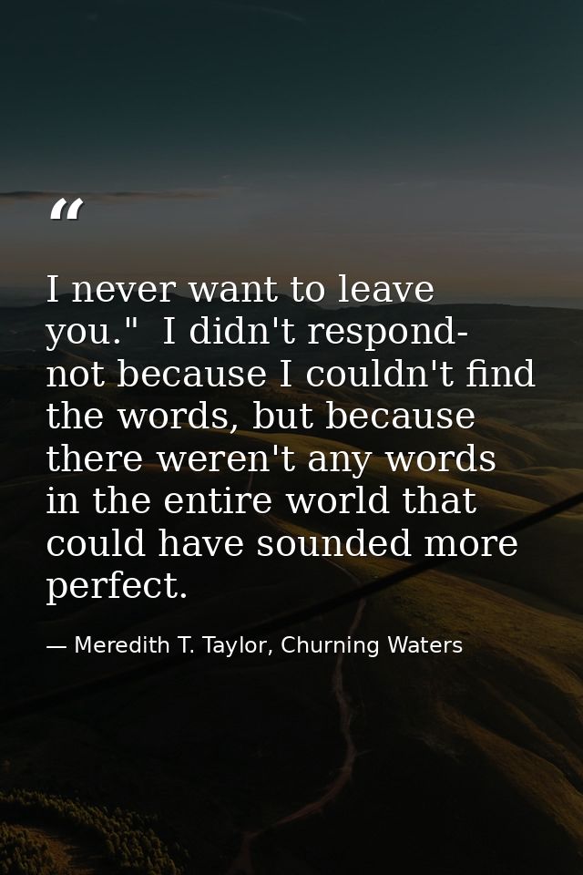 I never want to leave you."  I didn't respond- not because I couldn't find the words, but because there weren't any word — Meredith T. Taylor, Churning Waters