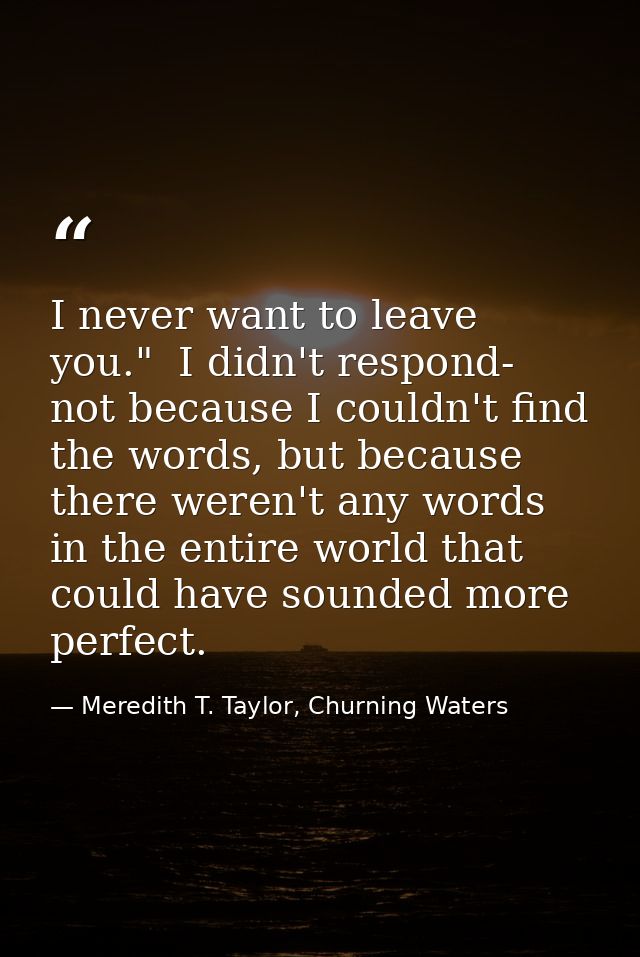 I never want to leave you."  I didn't respond- not because I couldn't find the words, but because there weren't any word — Meredith T. Taylor, Churning Waters