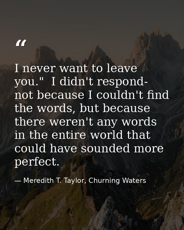 I never want to leave you."  I didn't respond- not because I couldn't find the words, but because there weren't any word — Meredith T. Taylor, Churning Waters