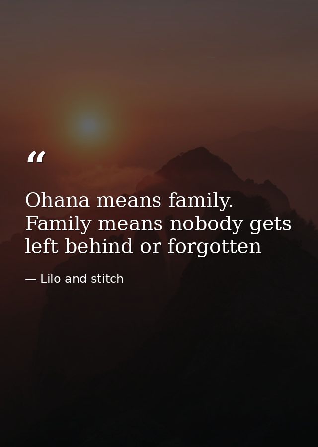 Ohana means family. Family means nobody gets left behind or forgotten — Lilo and stitch