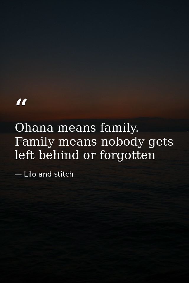 Ohana means family. Family means nobody gets left behind or forgotten — Lilo and stitch