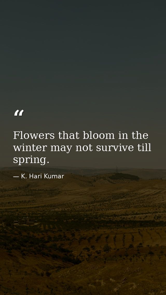 Flowers that bloom in the winter may not survive till spring. — K. Hari Kumar