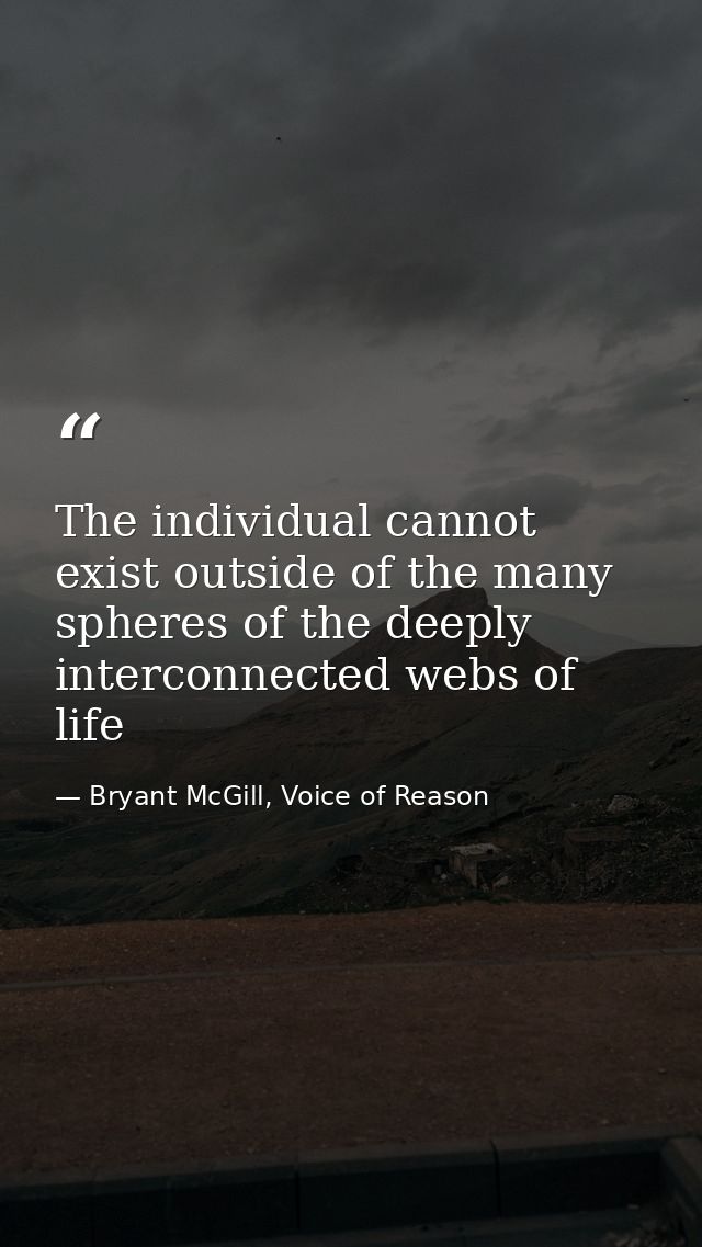 The individual cannot exist outside of the many spheres of the deeply interconnected webs of life — Bryant McGill, Voice of Reason