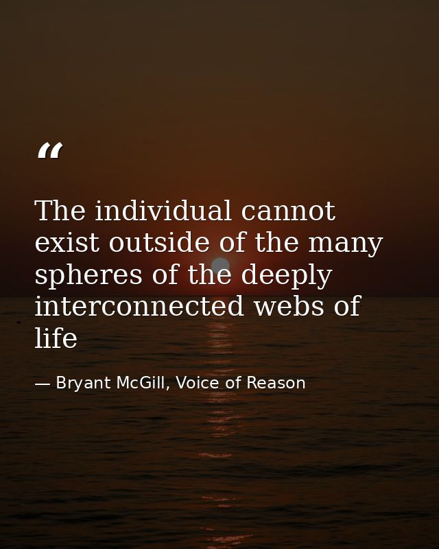 The individual cannot exist outside of the many spheres of the deeply interconnected webs of life — Bryant McGill, Voice of Reason