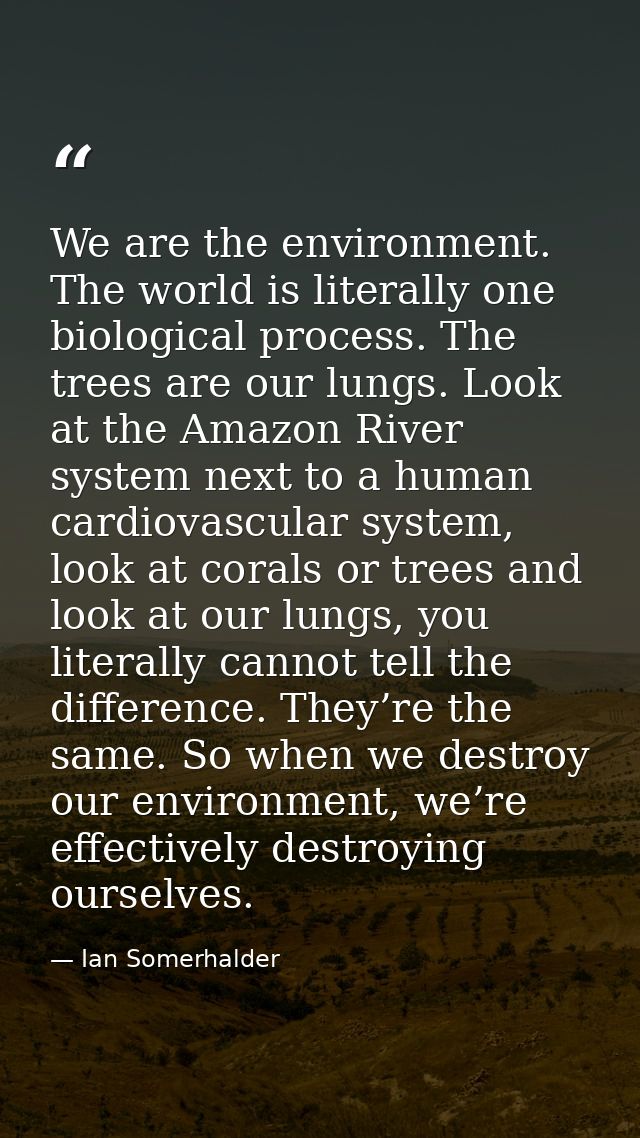 We are the environment. The world is literally one biological process. The trees are our lungs. Look at the Amazon River — Ian Somerhalder