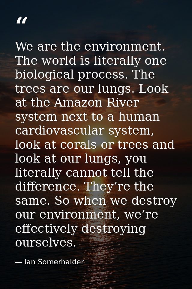 We are the environment. The world is literally one biological process. The trees are our lungs. Look at the Amazon River — Ian Somerhalder