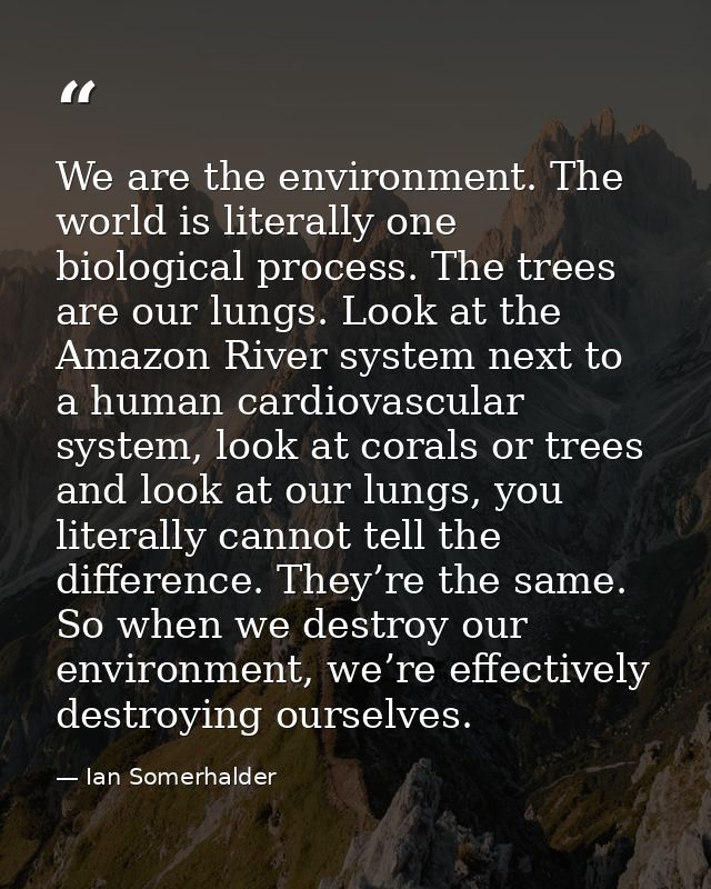 We are the environment. The world is literally one biological process. The trees are our lungs. Look at the Amazon River — Ian Somerhalder