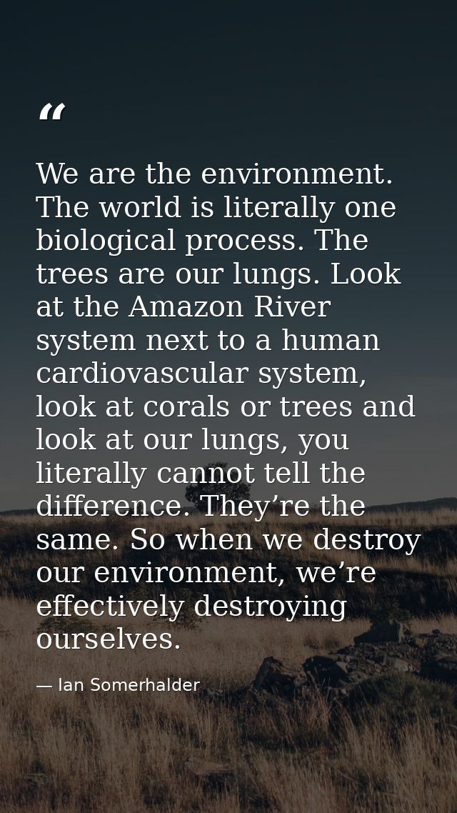 We are the environment. The world is literally one biological process. The trees are our lungs. Look at the Amazon River — Ian Somerhalder