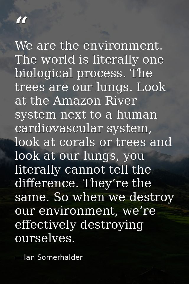We are the environment. The world is literally one biological process. The trees are our lungs. Look at the Amazon River — Ian Somerhalder
