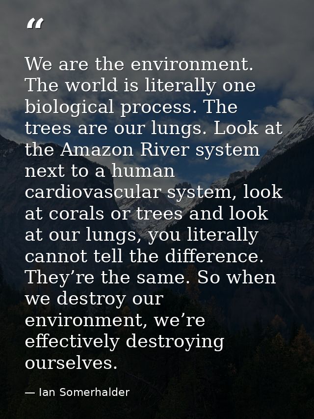 We are the environment. The world is literally one biological process. The trees are our lungs. Look at the Amazon River — Ian Somerhalder