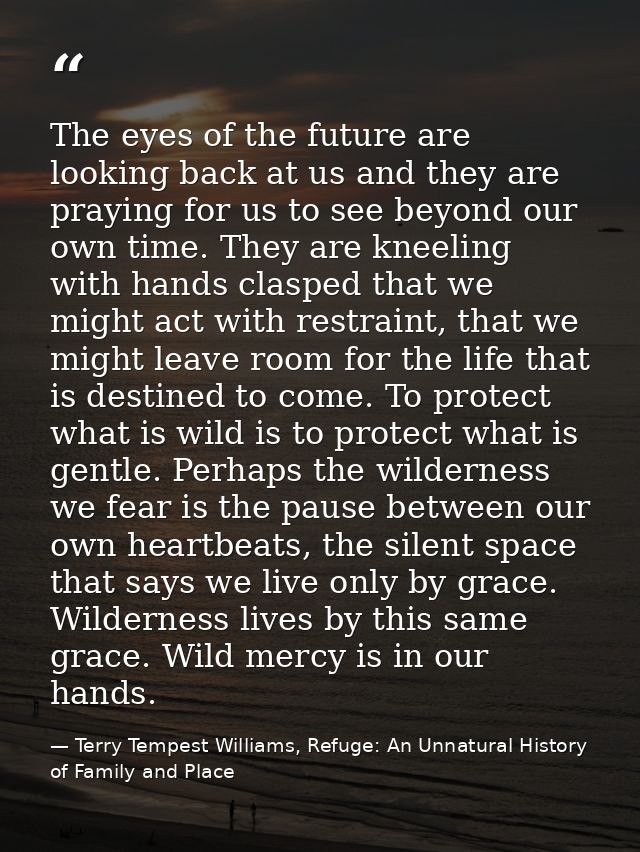 The eyes of the future are looking back at us and they are praying for us to see beyond our own time. They are kneeling  — Terry Tempest Williams, Refuge: An Unnatural History of Family and Place