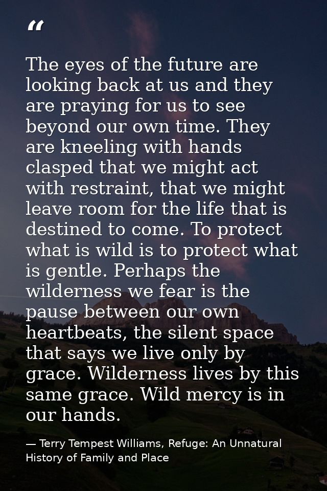 The eyes of the future are looking back at us and they are praying for us to see beyond our own time. They are kneeling  — Terry Tempest Williams, Refuge: An Unnatural History of Family and Place
