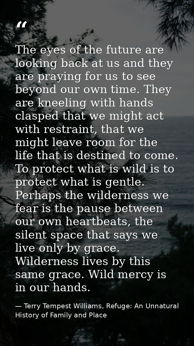 The eyes of the future are looking back at us and they are praying for us to see beyond our own time. They are kneeling  — Terry Tempest Williams, Refuge: An Unnatural History of Family and Place