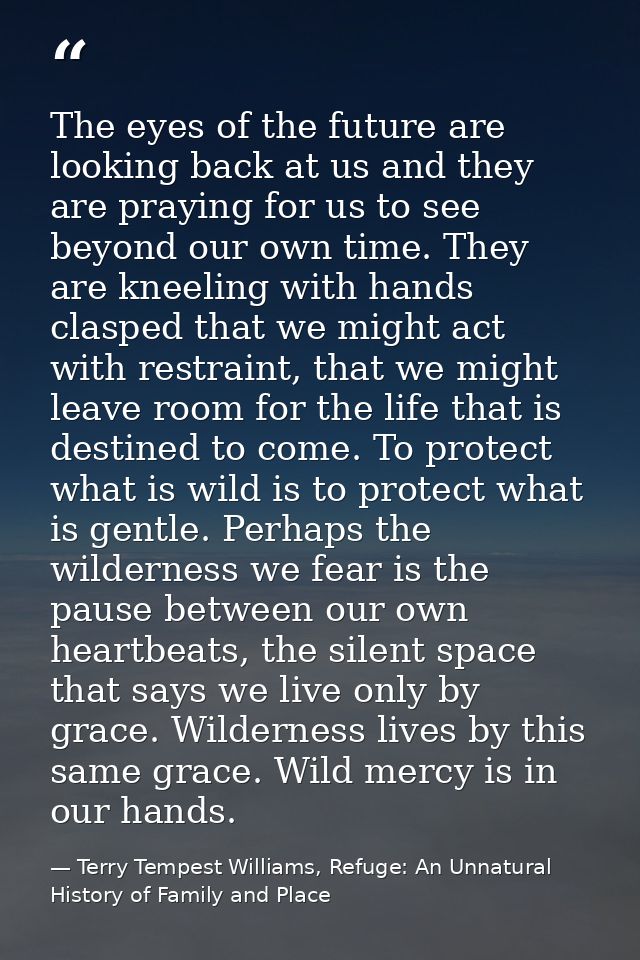 The eyes of the future are looking back at us and they are praying for us to see beyond our own time. They are kneeling  — Terry Tempest Williams, Refuge: An Unnatural History of Family and Place