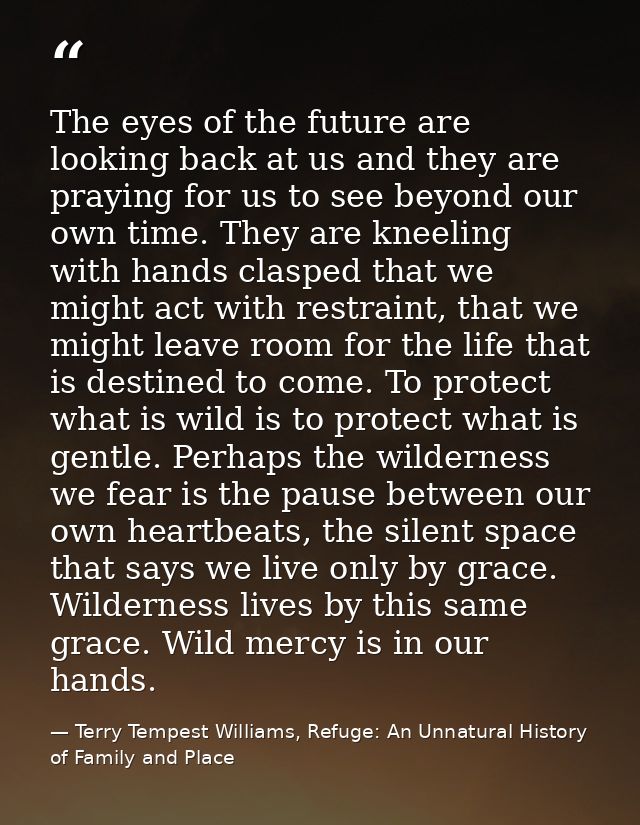 The eyes of the future are looking back at us and they are praying for us to see beyond our own time. They are kneeling  — Terry Tempest Williams, Refuge: An Unnatural History of Family and Place